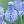 muscari azureum
