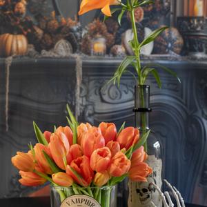 252469 tulipa  lilium mixed