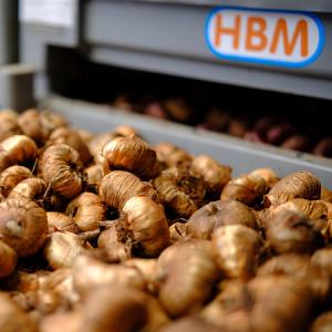 Photo E-commerce market