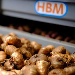 hbm