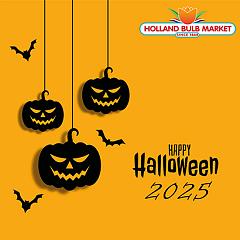 halloween 2025 verkleind
