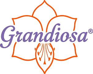 logo grandiosa kleur