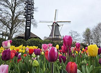 20260413 121032 verkleind