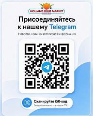 evgeny