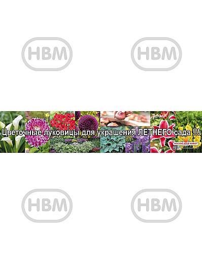 Russian Banner Spring (750x150cm)