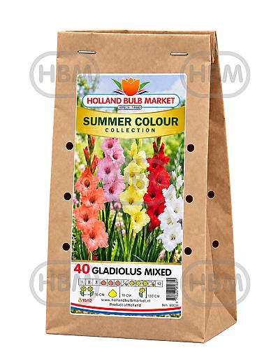 Sum. Colour Col.: Gladiolus Mix (14x40)