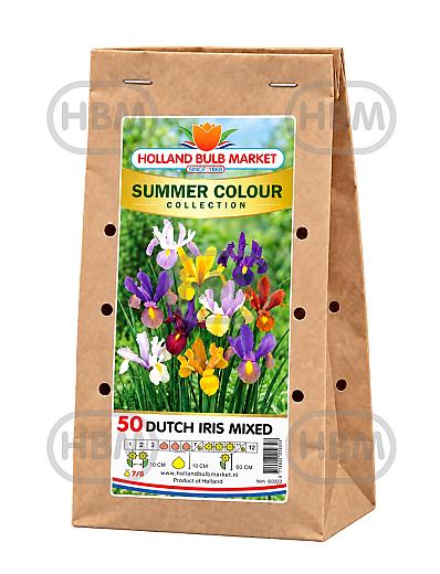 Sum. Colour Col.: Dutch Iris  Mix (14x50)