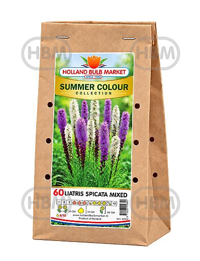 Sum. Colour Col.: Liatris Spicata Mix (14x60)