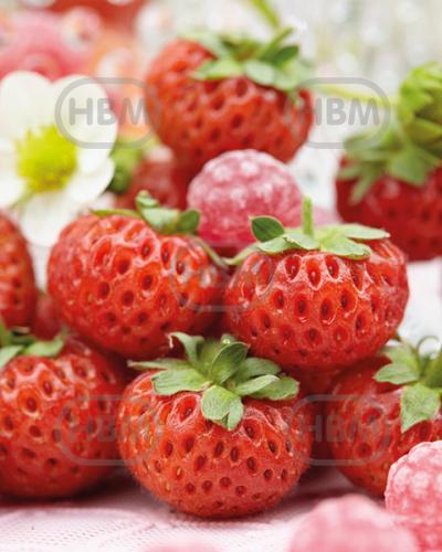 X Ananassa Raspy Strawberry