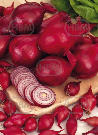 Cepa Red (X250 Gr)