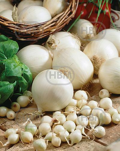 Cepa White (X250 Gr)