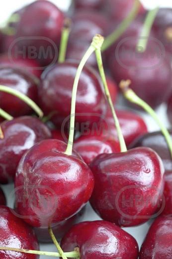 Avium Sylvia Cherry