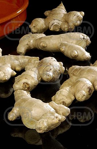 Officinale