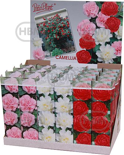 Lactiflora 30600: Tubes (3X8)