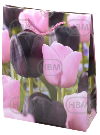 Tulipa mixed