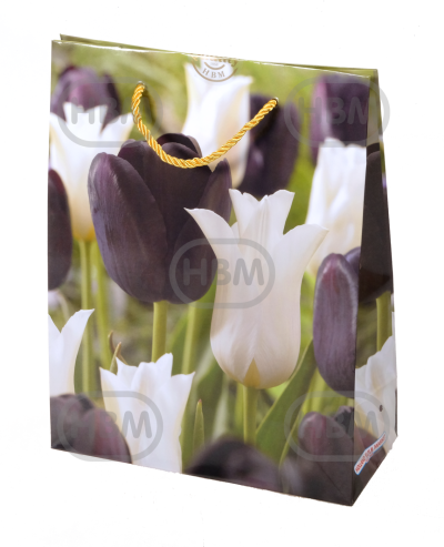 Tulipa mixed
