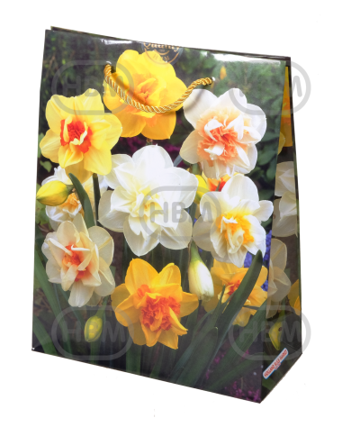 Narcissus mixed