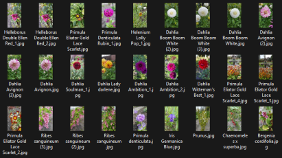 schermafbeelding 2025 03 07 144251.png?1748945163&focus=47.40 22