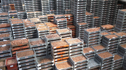 schermafbeelding 2025 03 05 161642