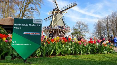 keukenhof 2019 bord molen