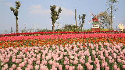 img 6440.jpg
