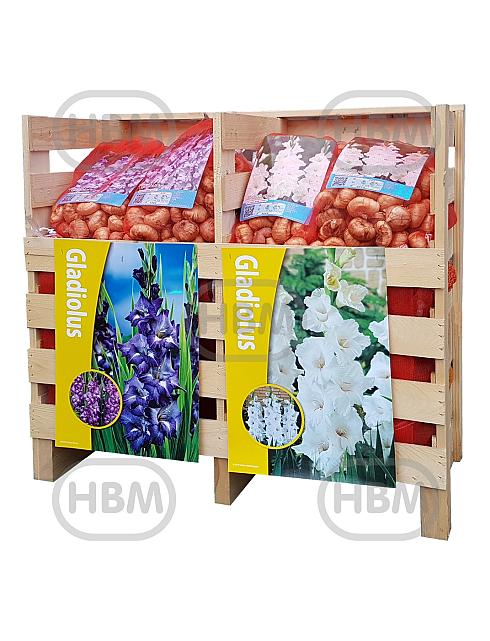 2 Segment palletbox Gladiolus 5 (x30 bags) x 30