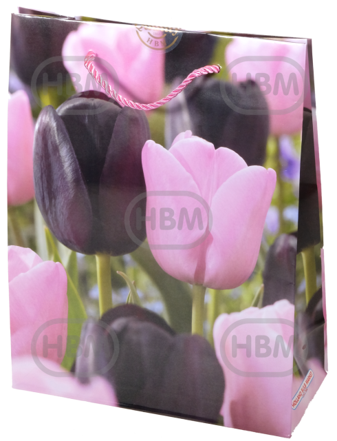 Tulipa mixed