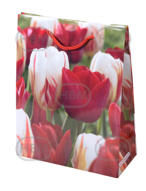 Tulipa mixed