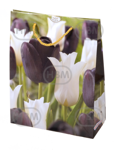 Tulipa mixed