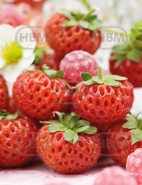 X Ananassa Raspy Strawberry