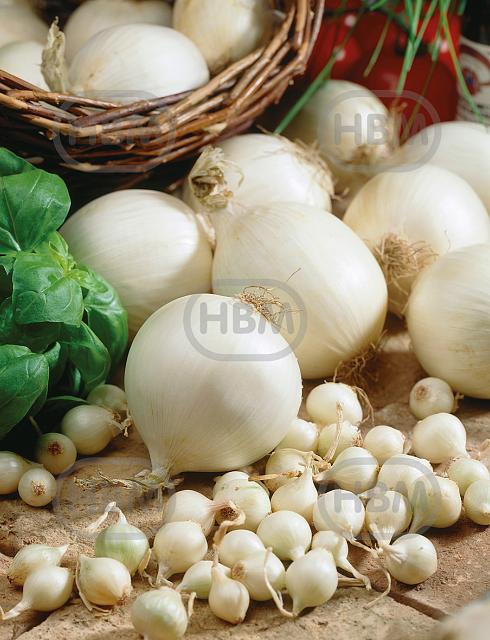 Cepa White (X250 Gr)