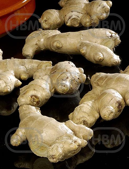Officinale