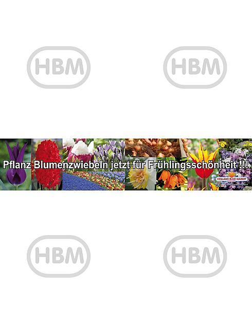 Deutscher Banner (1000x200cm)