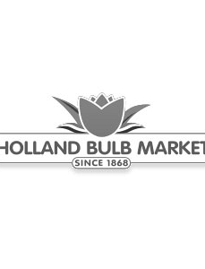 Holland Bulb Market