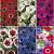 S15 Anemone Single (6x200)