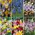 S15 Miscellaneous C (6x200)