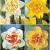 S24 Narcissus Double E (4X50)