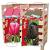 Tulipa mixed