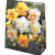 Narcissus mixed