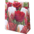 Tulipa mixed