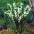 Convallaria Majalis Bordeaux