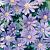 Blanda Blue Shades