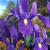 Hollandica Purple Sensation