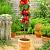 Braeburn Red