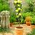 Golden Delicious Yellow-Green