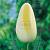 Triumph Le Crin Blanc