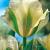 Viridiflora Spring Green