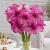 Pretty in Pink