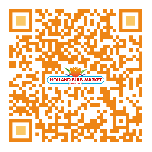 wechat code with logo