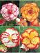 S24 Begonia Bicolor (4x40)